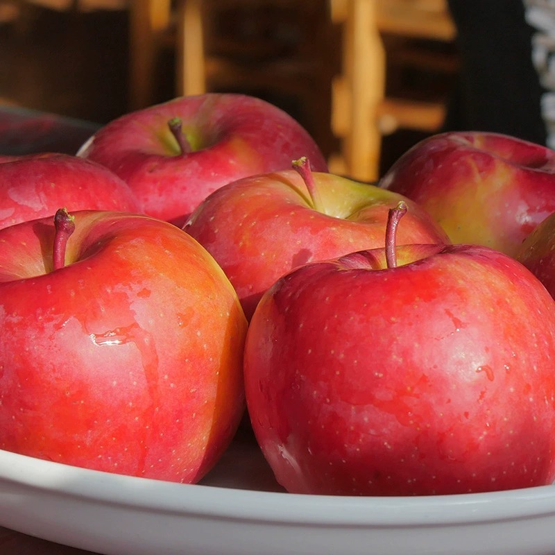 A box full of 5 pounds of fresh fruit in the season.