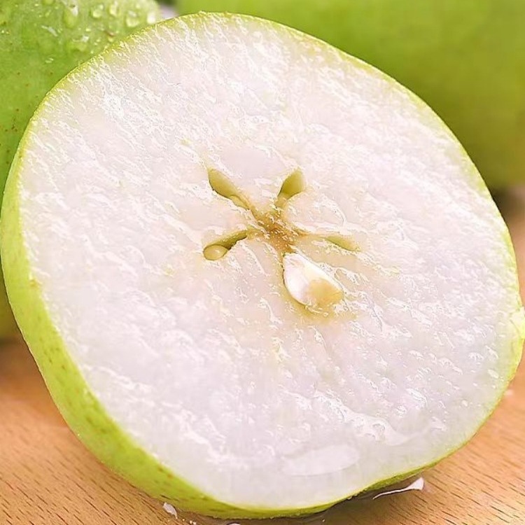 Fresh and fresh.