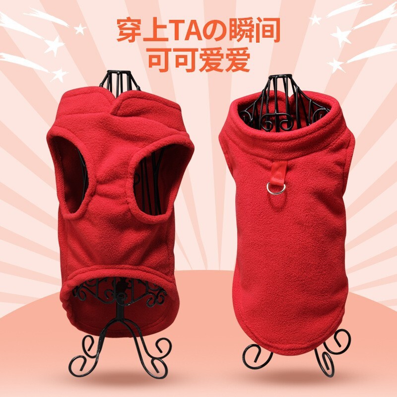 Con chó lông nhung này giữ ấm áo giáp vào mùa thu và mùa đông.