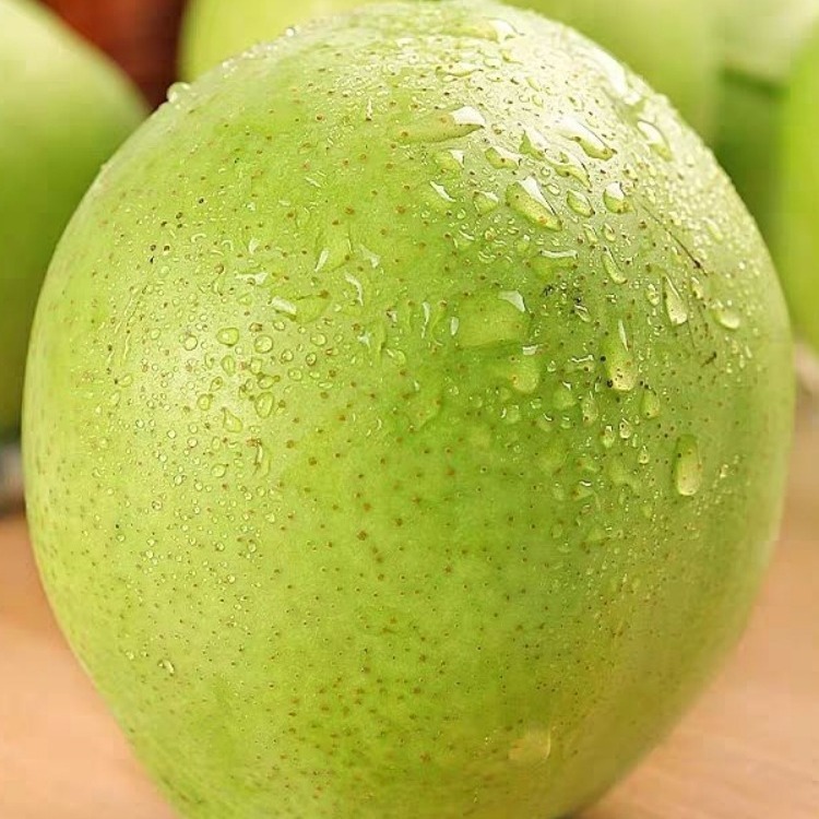 Fresh and fresh.