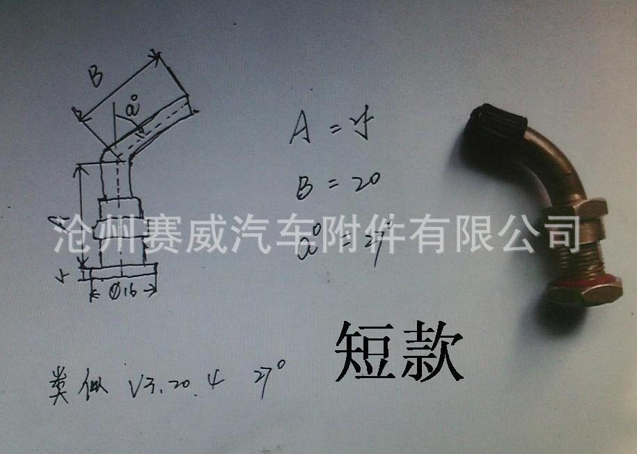 cỡ lớn và trung bình xe chở hành khách lốp xe V.320/456 van chân không, 100 đồng.