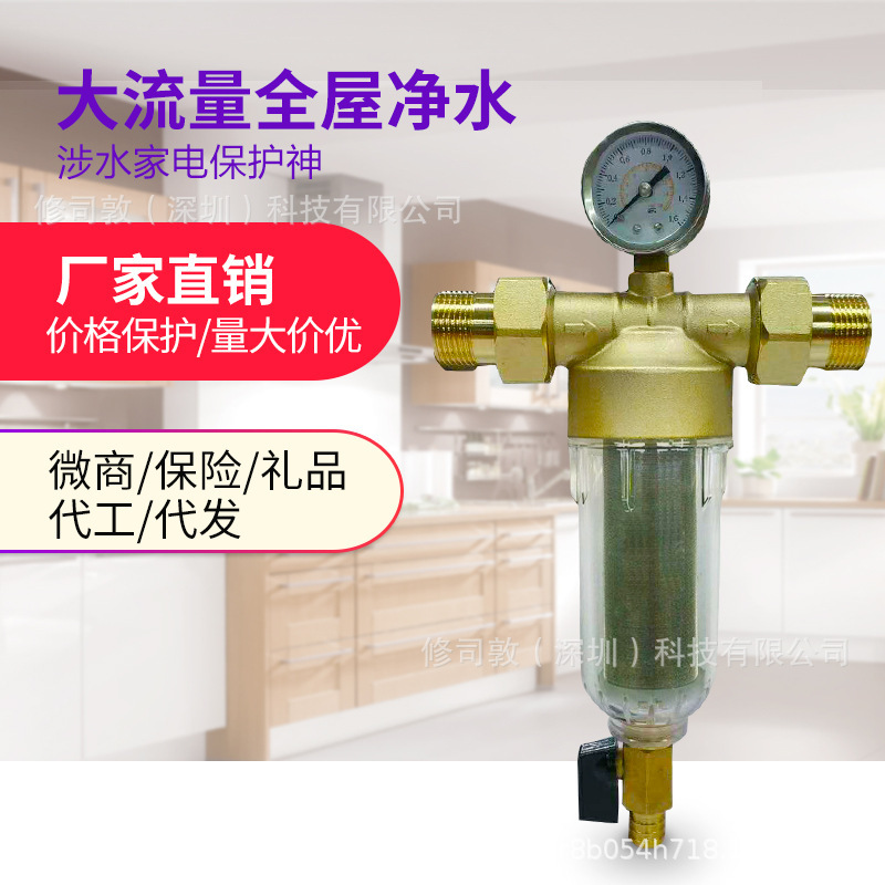 銅前置反衝洗4分口6分1寸口免換芯淨水器家用全屋大流量中央前置