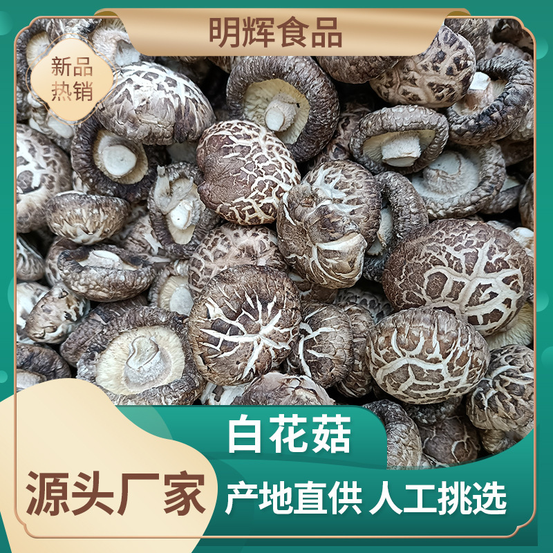 Henan Tut's dry mushrooms, full specifications, gift mushrooms, export grade, 500g.