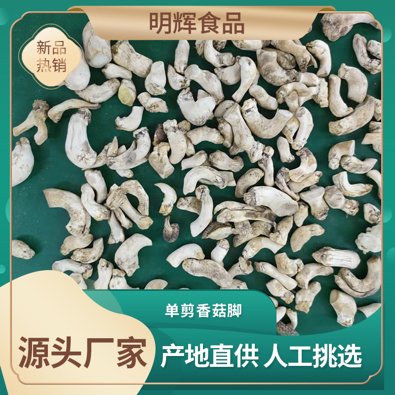 도도토도토도토도토도토도토도토도토도토도토도토도토도토도토도토도토도토도토도토도토도토도토도토도토도토도토도토도토도토도토도토도토도토도토도토도토도토도토도토도토도토도토도토도토도토도토도토도토도토도토도토도토도토도토도토도토도토도토도토도토도토도토도토도토도토도토도토도토도토도토도토도토도토도토도토도토도토도토도토도토도토도토도토도토도토도토도토도토도토도토도토도토도토도토도토도토도토도토도토도토도토도토도토도토도토도토도토도토도토도토도토도토도토도토도토도토도토도토도토도토도토도토도토도토도토도토도토도