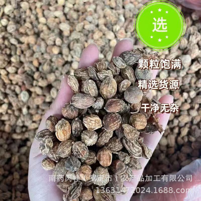 益智仁中药材益智仁香料产地直销量大从优香料调料益智仁500克