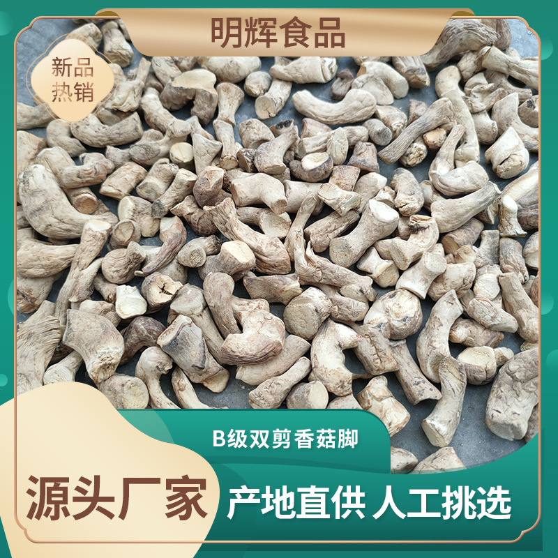 Chân nấm cắt đôi, chân đóng băng nấm, tóc nền, nguồn cung cấp vĩnh viễn.