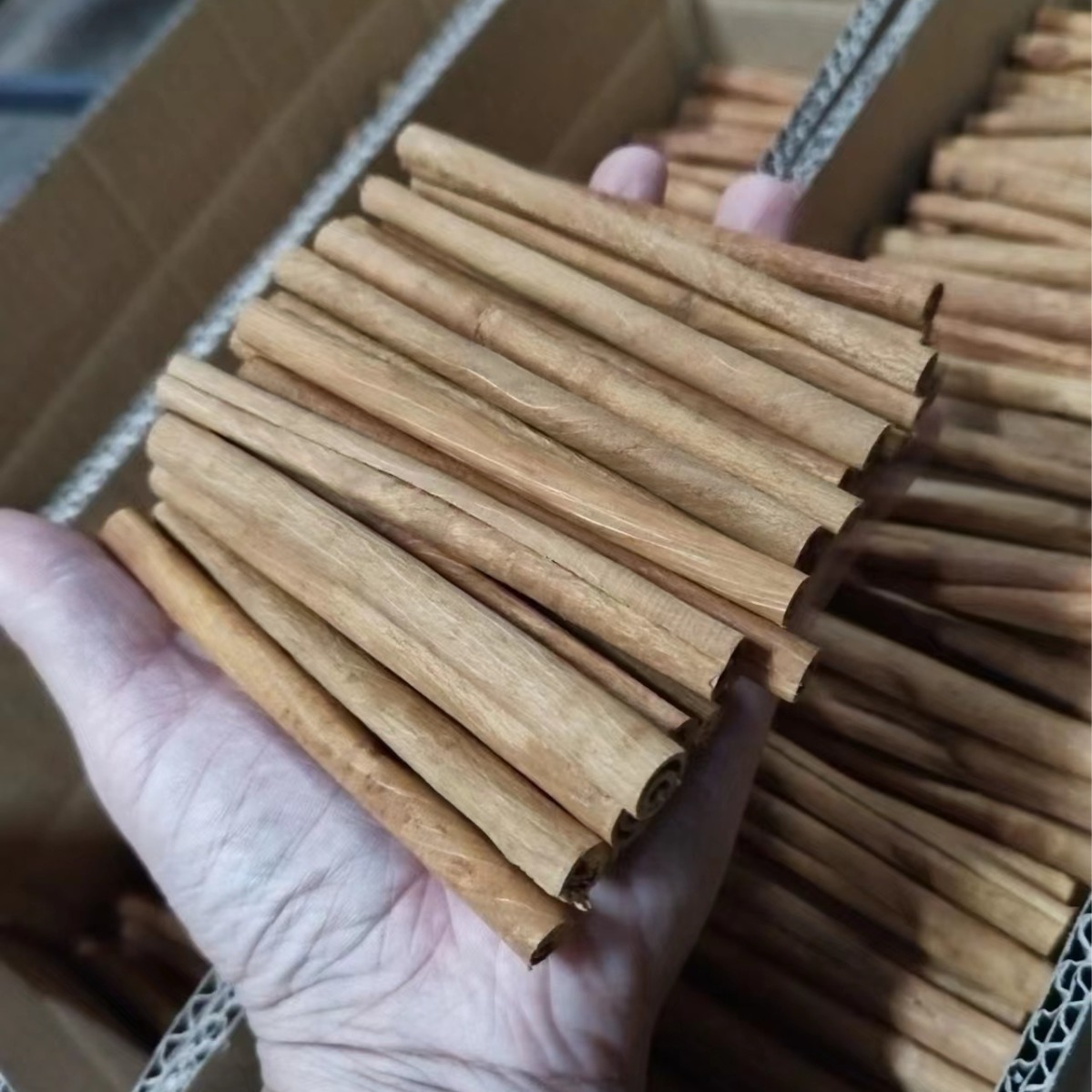 Whole lotion of cinnamon rods, wine without fire cinnamon decorations, cinnamon-skin-dry material, 500 grams.