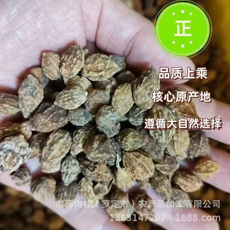 益智仁中药材益智仁香料产地直销量大从优香料调料益智仁500克
