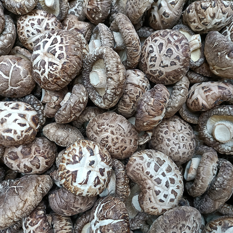 Henan Tut's dry mushrooms, full specifications, gift mushrooms, export grade, 500g.