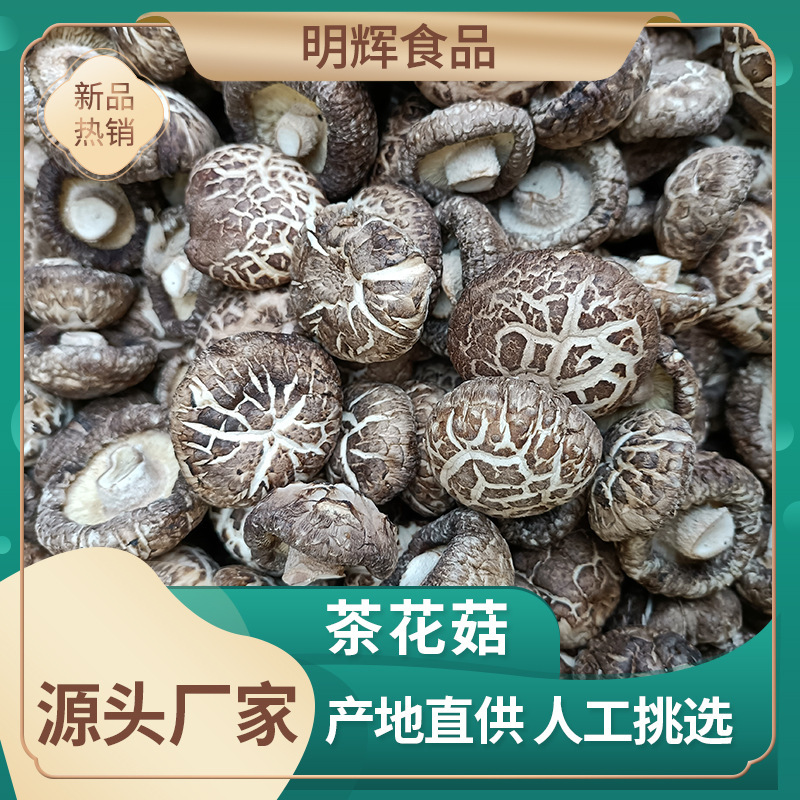Căn cứ nấm củanan cung cấp nấm trà, nấm, nấm trắng, nấm, nấm, nấm đen, vân vân.