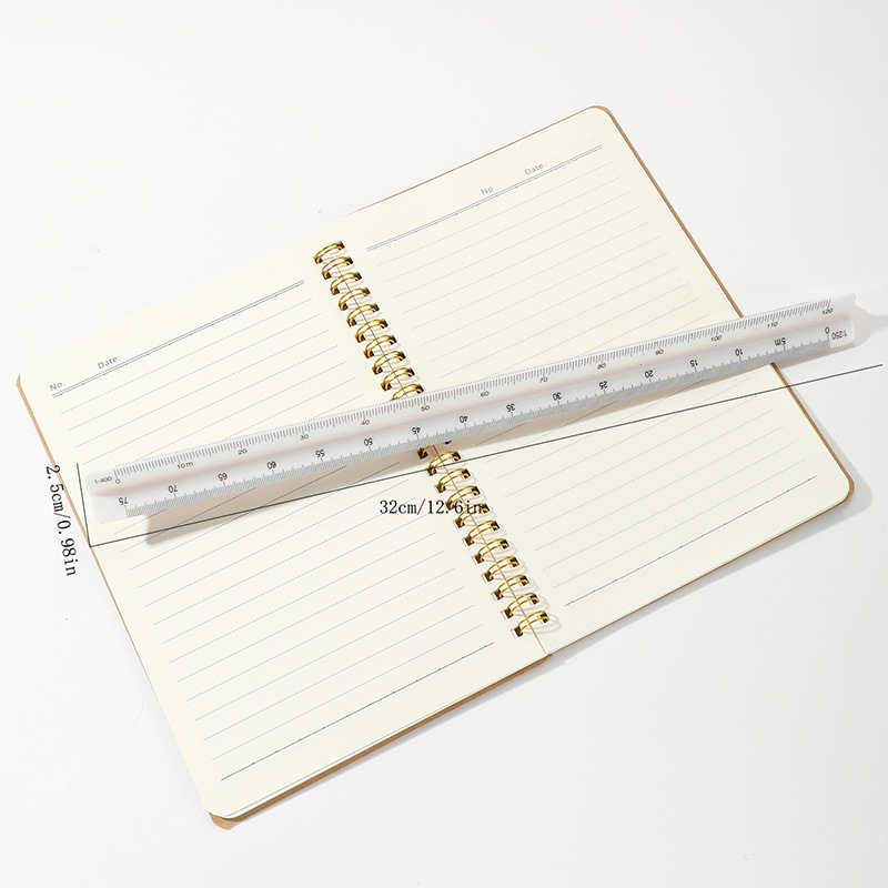 Stationary ruler for a 3D scale test for 3D scale students