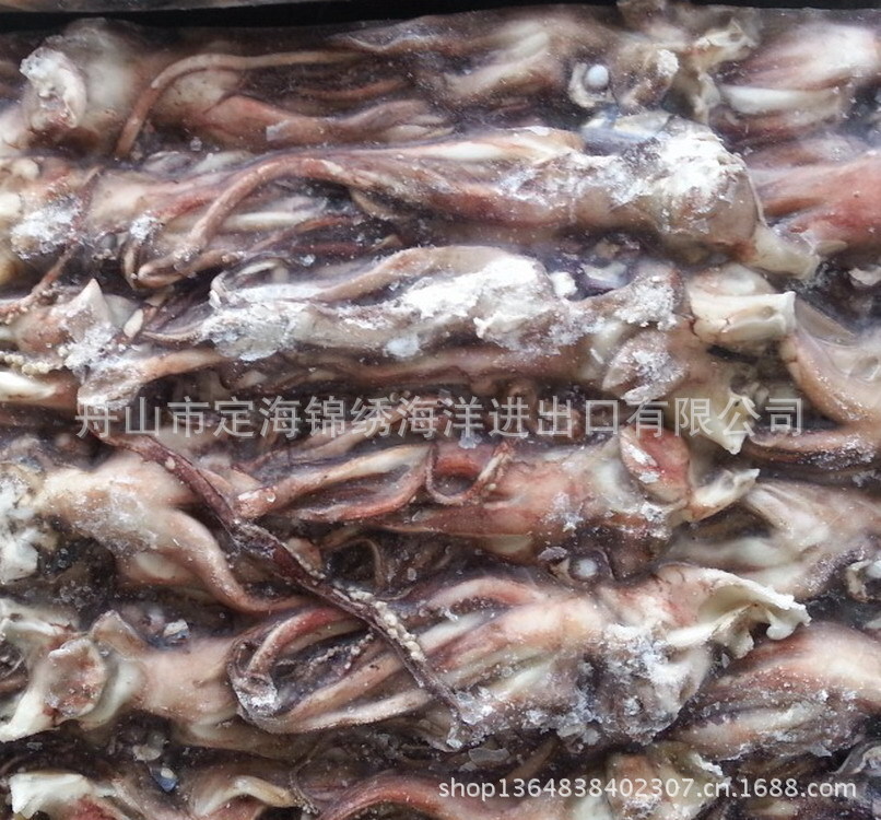 Đầu mực Peru, các đặc điểm khác nhau cho loại mực ống loại nhỏ và cỡ trung bình, có thể phun ra tiếng trống/s cramp/shead/shart