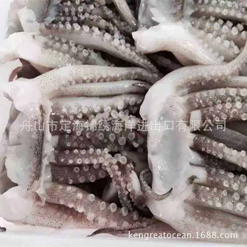 Ở giữa mực ống, đầu mực Peru đông lạnh, sản phẩm mực đóng băng, có thể xuất khẩu, buôn bán nhà máy.