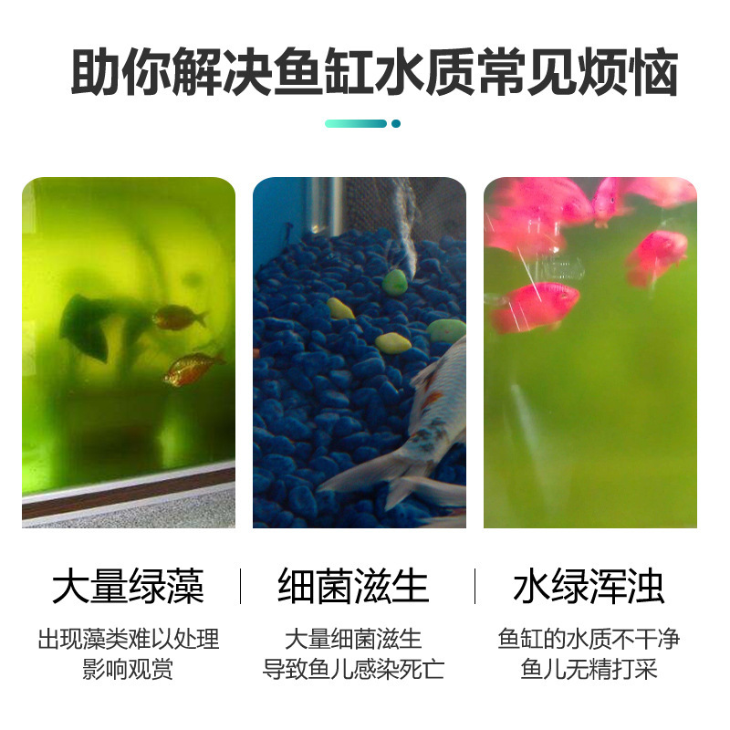 HENE cá thu nhỏ hồ chứa tia cực tím, hồ cá lặn ngoại trừ đèn tảo.