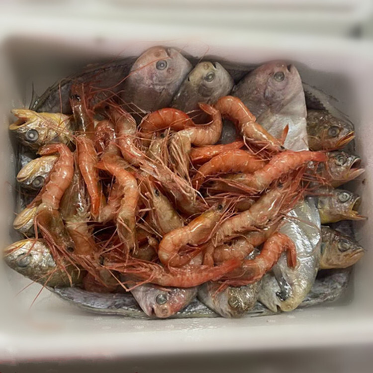 Nó rẻ, tốt, tốt.