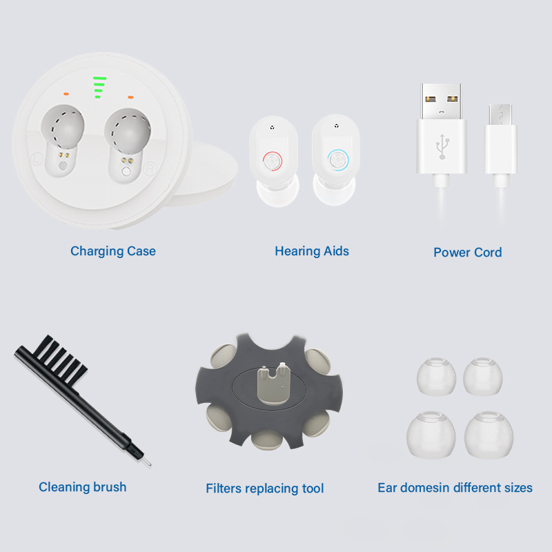 Cross-border wholesale English version of two IC charged with sound amplifier