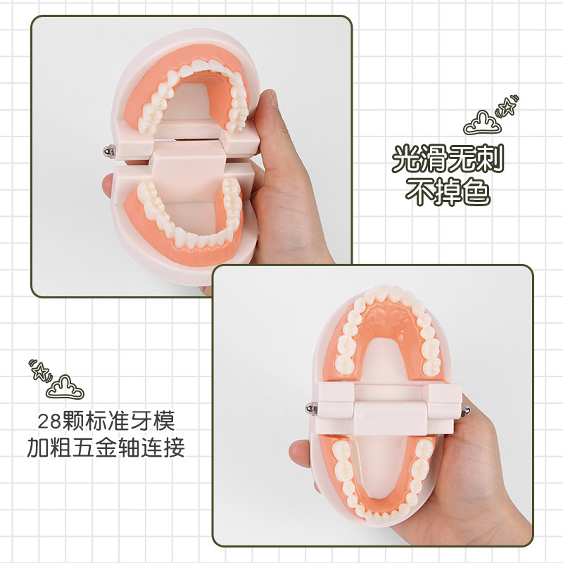 Việc tập huấn trên bàn tay của Mong trong cộng đồng đồ chơi trường học, đánh răng.
