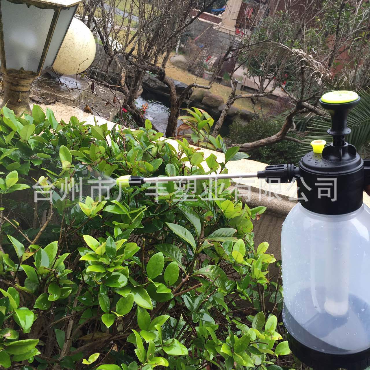 Một bình phun áp suất nhỏ cho người làm vườn.