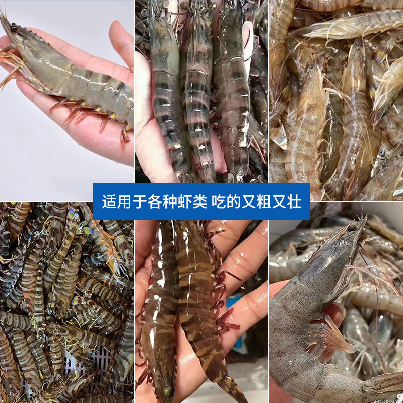 蝦苗蝦奶粉養殖破碎飼料海林廠家批發38高蛋白南美白開口料魚苗