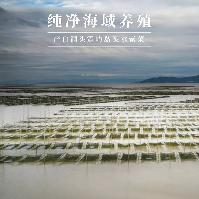 Scrambling 5g seafood dry, small-packed shrimp veal soup factory sells a distribution.