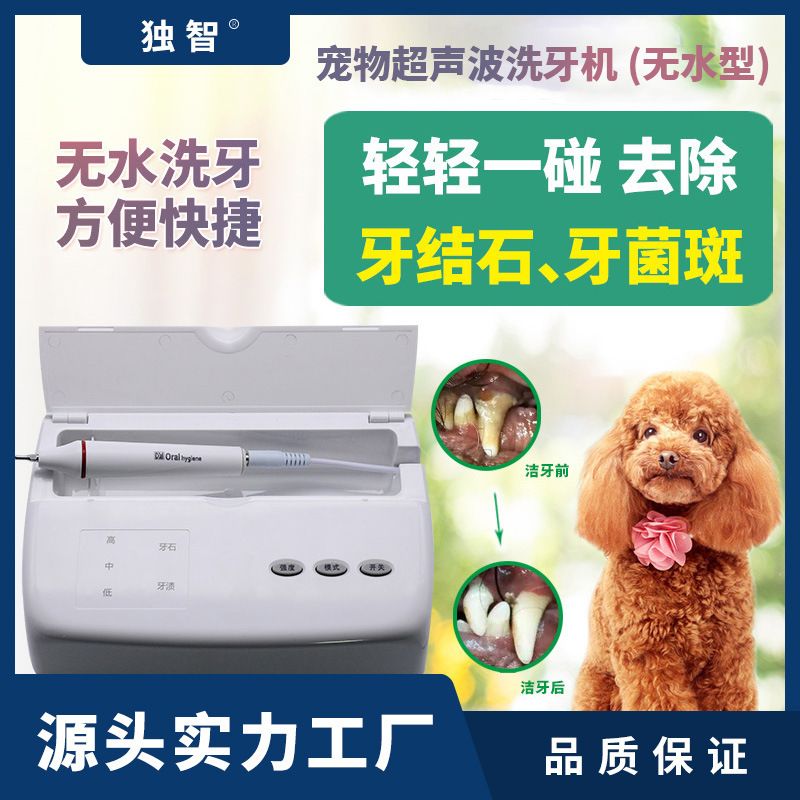 A pet ultrasonic tooth-cleaning machine, dog to toothstone, tooth-washer mouth-cleaning and mouth-drain removal tool.