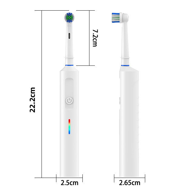跨境电商CE FCC ROHS源头厂家圆头电动牙刷旋转电动牙刷TYPE-C