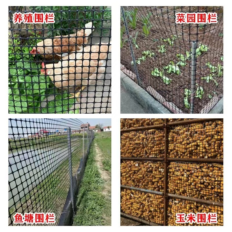 A grid-breathed chicken-breededing fish ponds protected by a grid of black squares, a grid-breathed earth-breeding corn network