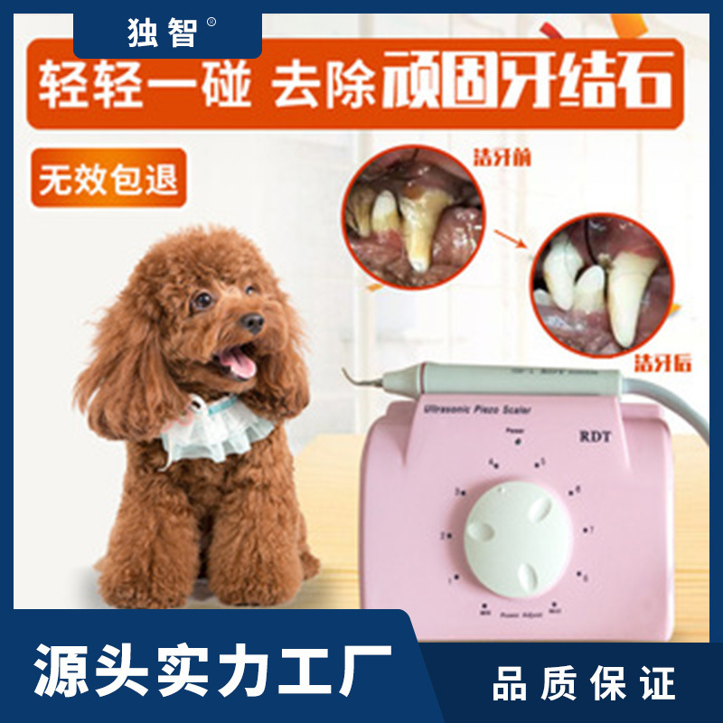 New pet dog toothstone remover ultrasound tooth-cleaning teddy cat tool auto-smoking.