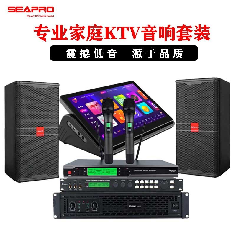 Sambo KT-10 family cinema ktv setupers perform the high-power speaker for the stage meeting with a record player