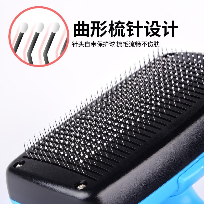 Con mèo nuôi chải tóc, kim tóc, kim chỉ tóc.