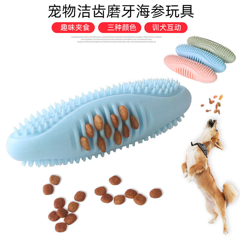 Một con chó với một con chó bị chứng khó đọc, một con chó được huấn luyện để bú bàn chải đồ chơi.