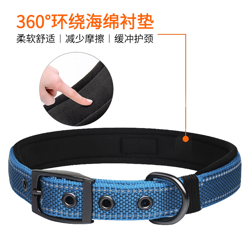 nylon reflectur coils with a small Amazon explosive dog that can adjust the necklace.
