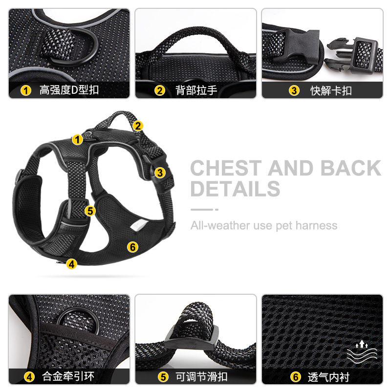 The dog's chest belts are new to the dog's retrospect.