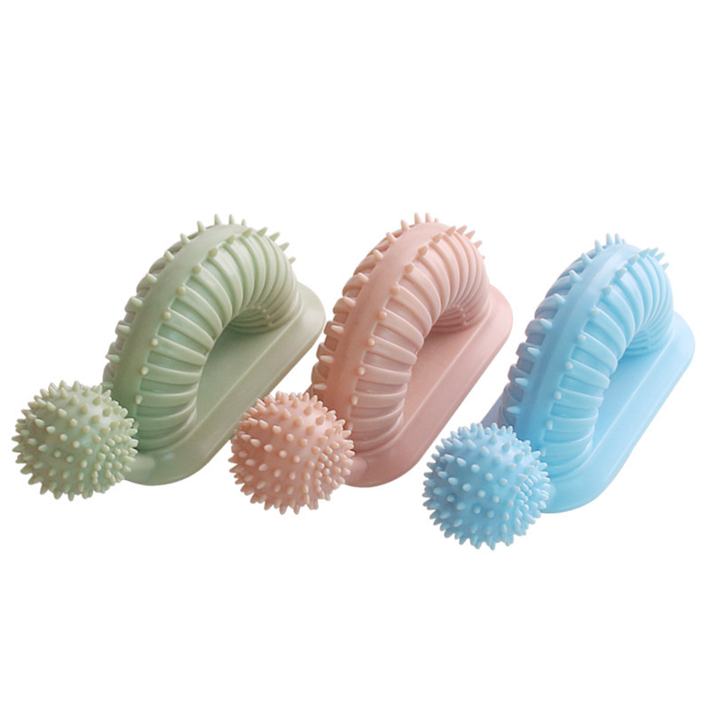 Con chó cưng nhai đồ chơi, đánh răng, đồ chơi tương tác, và bàn chải đánh răng của chó.