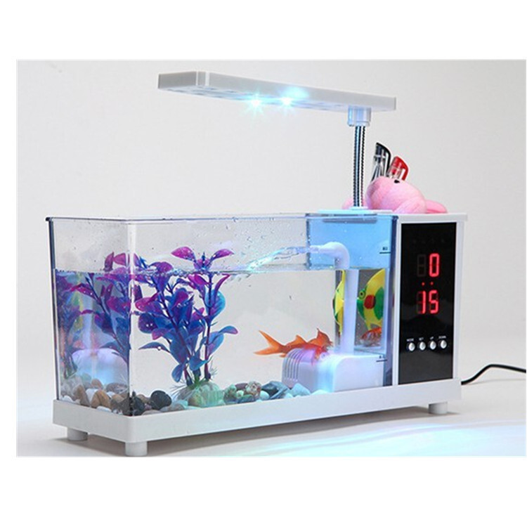 Những người sáng lập mới sống trong một khung cảnh đèn LED cấp cao của chiếc xe tải nhỏ màu trắng và trong suốt.