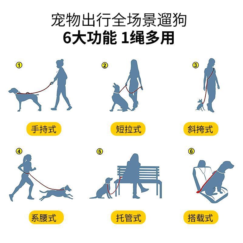 Sợi dây kéo đi qua biên giới để chạy tàu kéo và con chó nhẹ chạy ban đêm.