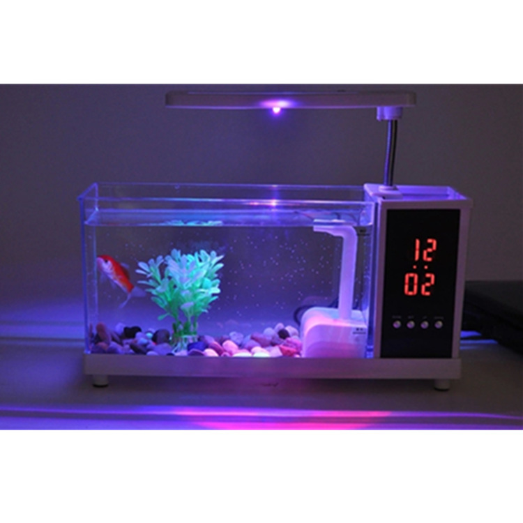 Những người sáng lập mới sống trong một khung cảnh đèn LED cấp cao của chiếc xe tải nhỏ màu trắng và trong suốt.