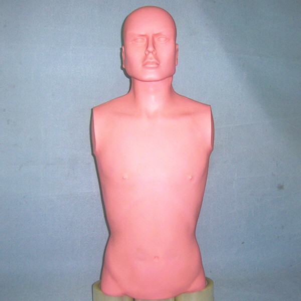 Human medicine teaching model semi-dry model imitates body-dry skin to the skin.