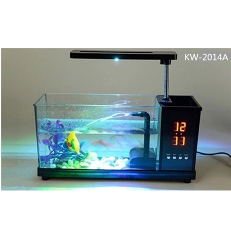 Những người sáng lập mới sống trong một khung cảnh đèn LED cấp cao của chiếc xe tải nhỏ màu trắng và trong suốt.