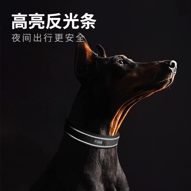 nylon reflectur coils with a small Amazon explosive dog that can adjust the necklace.