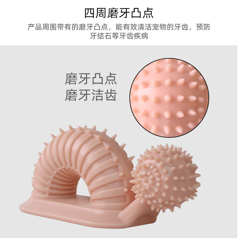 Con chó cưng nhai đồ chơi, đánh răng, đồ chơi tương tác, và bàn chải đánh răng của chó.