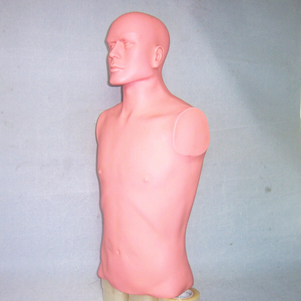 Human medicine teaching model semi-dry model imitates body-dry skin to the skin.