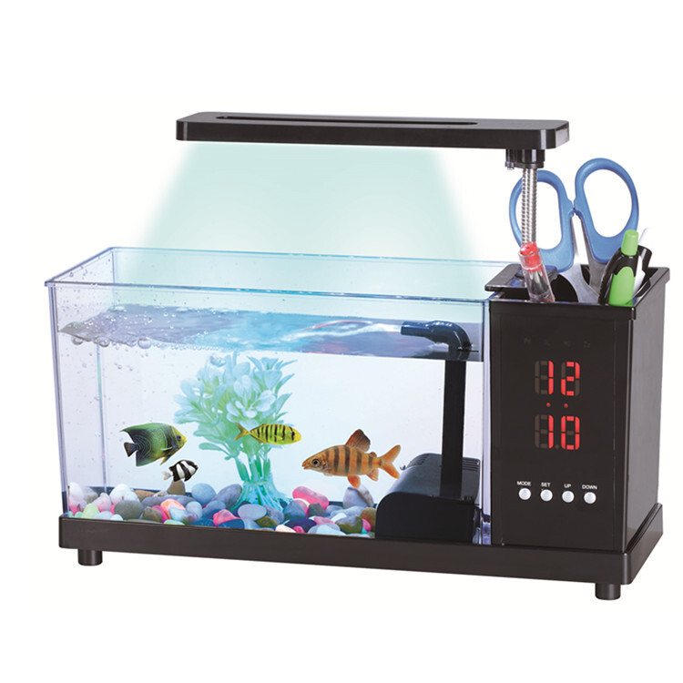 Những người sáng lập mới sống trong một khung cảnh đèn LED cấp cao của chiếc xe tải nhỏ màu trắng và trong suốt.