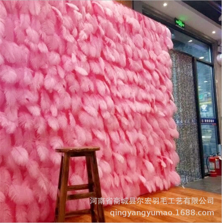 Mạng màu đỏ để chụp ảnh của các mảng lông màu nền của lông vũ được trang trí lông vũ run rẩy lông vũ cột lông đà điểu 25-30CM