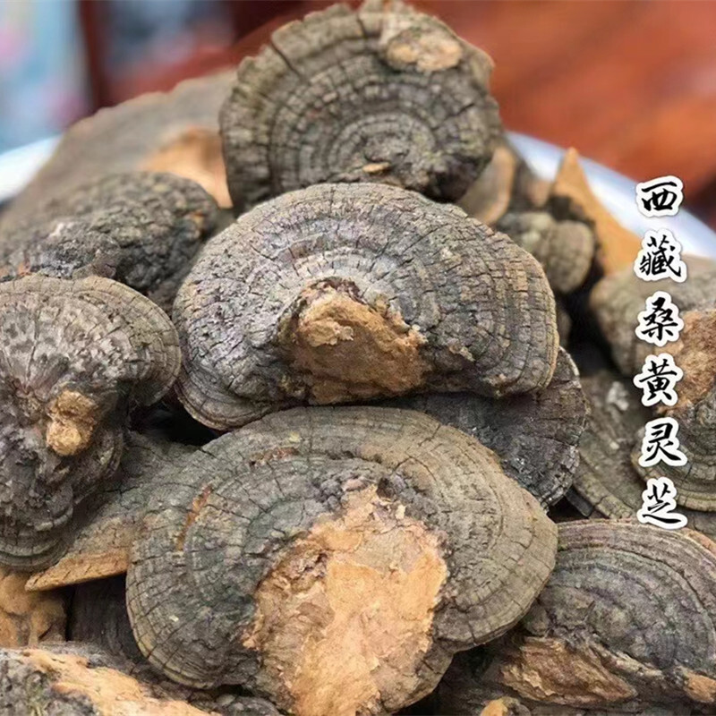 Ở Tây Tạng, trà San England Chí 500g Bing Chai hoang dã có thể được sản xuất với một lát hoa cúc.