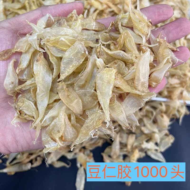500 cái đầu, 500 cái đầu, 800 cái đầu, và 1000 cái đầu cá xoắn.