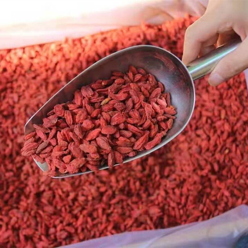 500 gg da phồng lên và súp trong trái cây Ningxia.