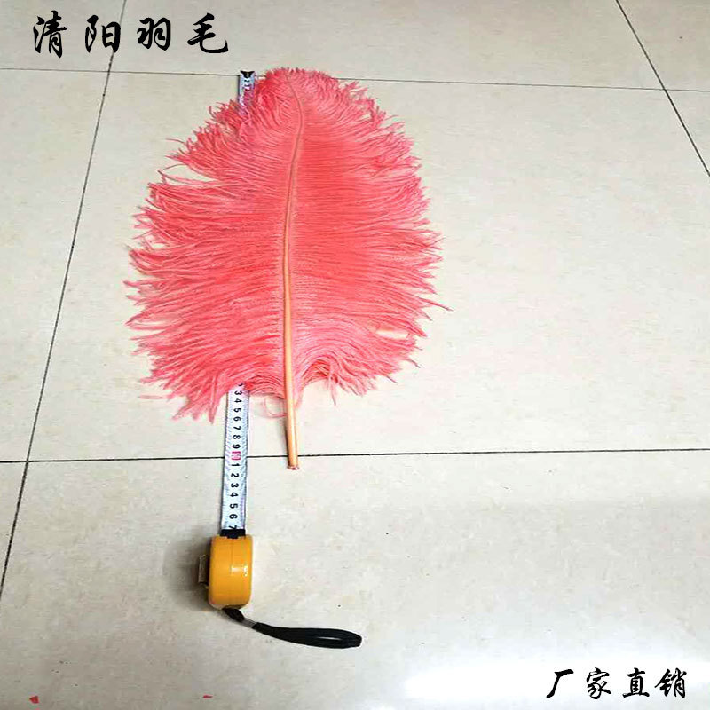 Lông đà điểu 60-65 cm với bó hoa.