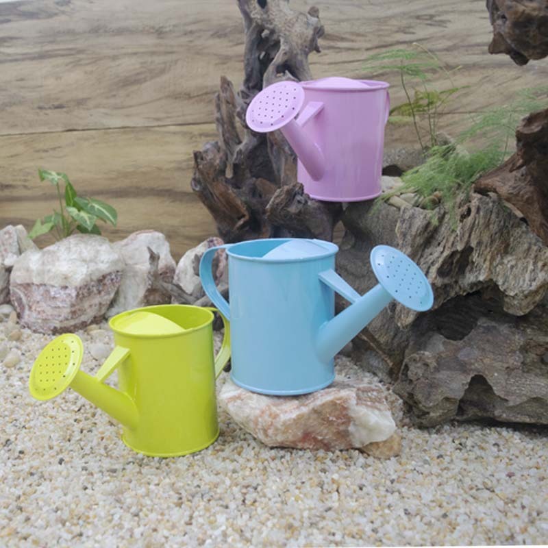 Những người làm vườn mẫu giáo phát triển những bản ghép trái đất bằng cây thông, các bản ghép và các bộ phận trồng trọt