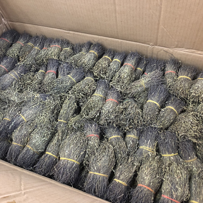 Em sẽ đi đón con, và em sẽ đón con, và em sẽ đi đón con.